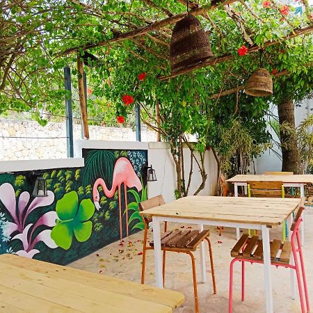 Tribe Inn Jungle & Flamingo Bayahíbe Exterior foto
